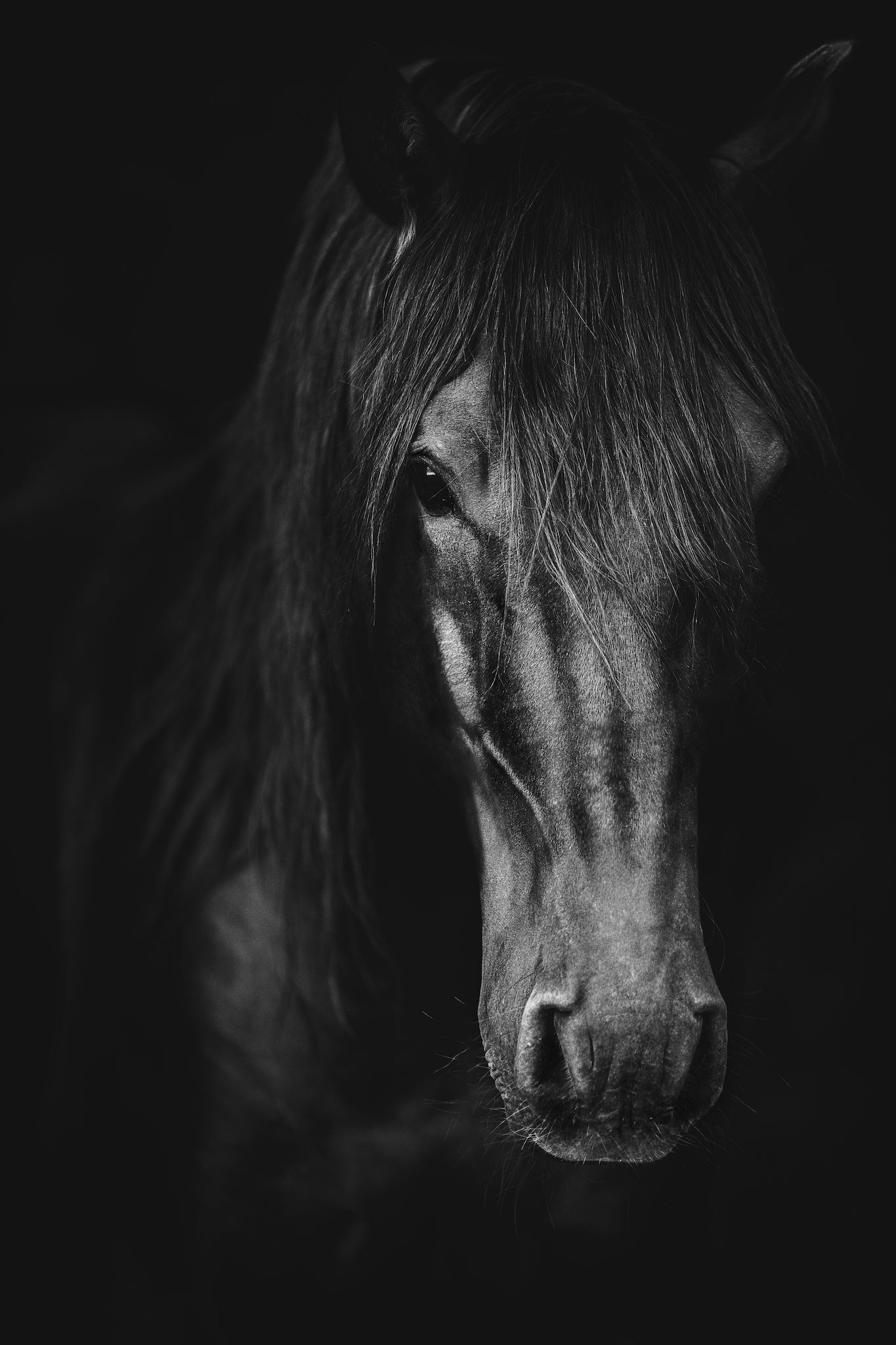 Gentle Fortitude