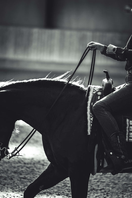 Rider on a Quarter Horse